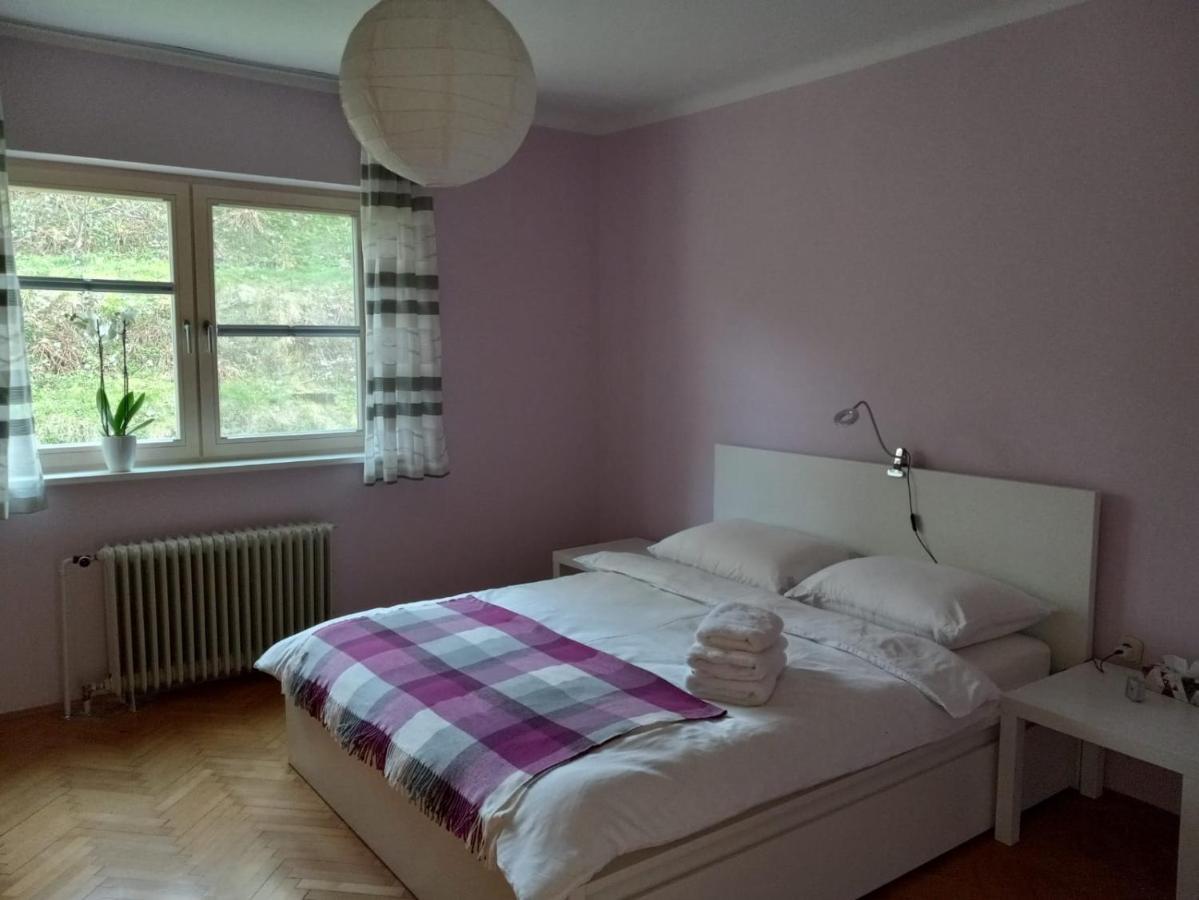 Lovely 2-Bedroom Appartment With Free Parking Dobrova ภายนอก รูปภาพ